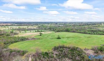 435 Sneadview Rd, Altoona, AL 35952