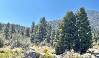 159 Eagle Nest Cir, Cold Creek, NV 89124
