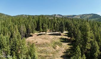1710 Tower Mountain Rd, Blanchard, ID 83804