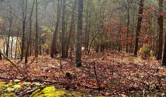 KING Street, Basye, VA 22810