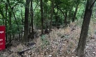 Vinita Circle, Monkey Island, OK 74331