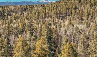 1004 And 1005 El Camino Real, Angel Fire, NM 87710