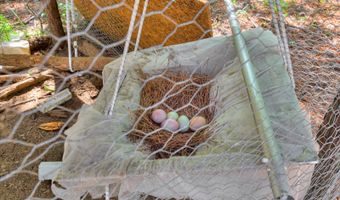 7054 Rance Perry Rd, Appling, GA 30802