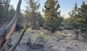 Brant Drive, Bonanza, OR 97623