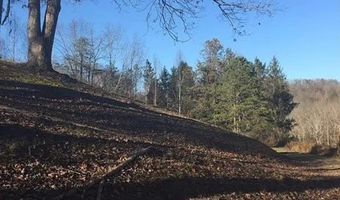 3129 Straight Frk, Alkol, WV 25501