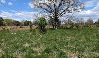56 Highway, Ash Flat, AR 72513