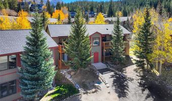 306 ILLINOIS GULCH Rd 113, Breckenridge, CO 80424