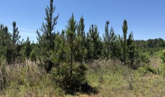 county road 222, Abbeville, AL 36310