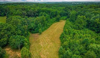 15 Acres Willow Grove Hwy, Allons, TN 38541