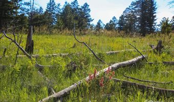 387 OLD CAMP Rd, Bellvue, CO 80512