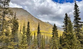 B005 S Packsaddle Road, Chickaloon, AK 99674