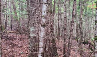 Map 14 lot 50, Andover, ME 04216