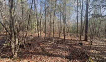 521 Mount Valley Rd, Blythewood, SC 29016