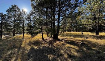 1290 Torrey Pines Ln, Angel Fire, NM 87710