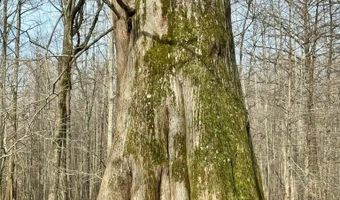 Putnam Road, Belzoni, MS 39038