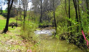 Lot 35 Watauga Lane, Birchwood, TN 37308