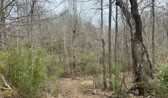 0 Oil Well Rd, Natchez, MS 39120