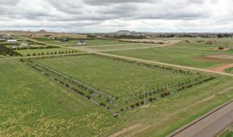 906 7th St NW, Bowman, ND 58623