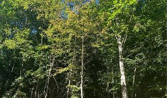 172 Hump View Trl, Banner Elk, NC 28604