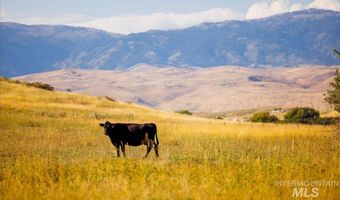 3127 Us Hwy 95, Cambridge, ID 83610