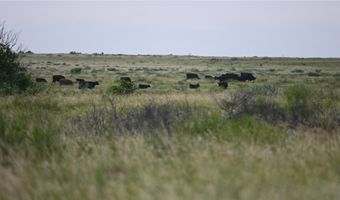 State HWY 79, Archer City, TX 76374