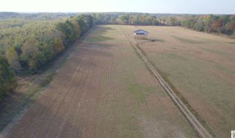 Holloway Landing Road, Barlow, KY 42024