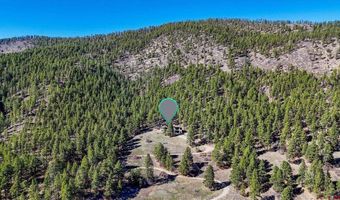3103 Bear Creek Rd, Bayfield, CO 81122