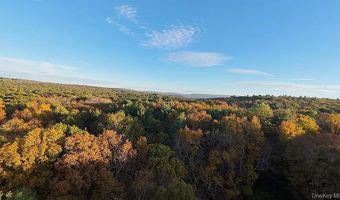 55 Hill Rd, Accord, NY 12404