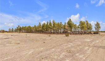 2253 N Saddleback Dr, Amargosa Valley, NV 89020