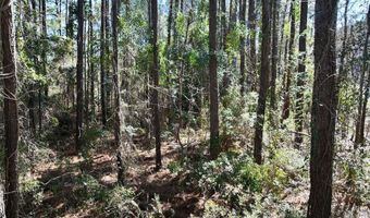 Creek Place Road, Arapahoe, NC 28510
