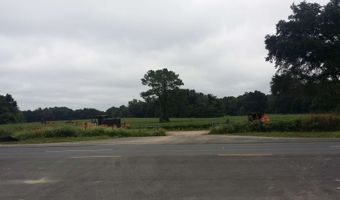 TBD HWY 441, Alachua, FL 32615