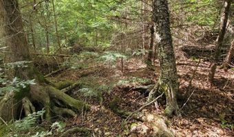 B-2BackLot Pioneer Path, Aurora, ME 04605