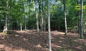 Lot 2B Gidsville Road, Amherst, VA 24521
