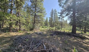 Meadow Lark Drive Lot 12, Bonanza, OR 97623