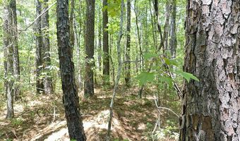 Highway 17A, Bonneau, SC 29431