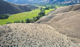 Tbd Morgan Creek Road, Challis, ID 83226