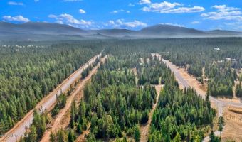 L13B1 Leonard Loop, Athol, ID 83801