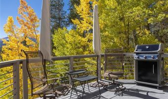 1139 BOREAS PASS Rd, Breckenridge, CO 80424