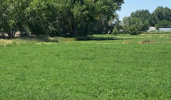 900 Calkin / Rice Rd, Fallon, NV 89406