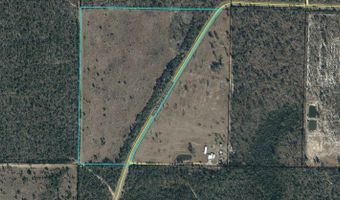 21332 NW Melvin New Grade Rd, Altha, FL 32421