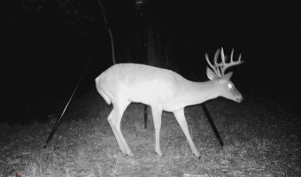 13489 S Center Point Rd, Atoka, OK 74525