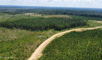 Ms-25, Brandon, MS 39047