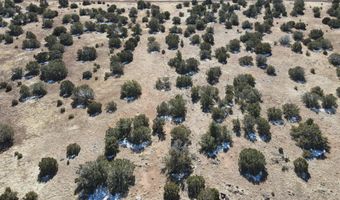 70 County Road 5054, Concho, AZ 85924