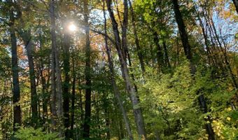 L21.1 Alder Pond Road, Andes, NY 13740