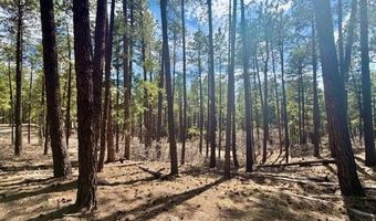 249 Timber Dr, Bayfield, CO 81122