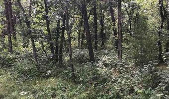 1678 Cree Ln, Arkdale, WI 54613