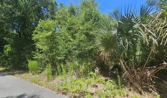 6 Red Bay Ct, Bald Head Island, NC 28461