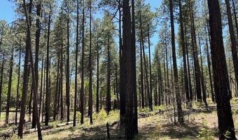 Tbd COUNTY ROAD N2122, Alpine, AZ 85920