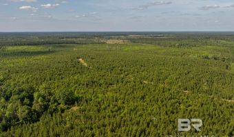 Flowers Road, Bay Minette, AL 36507