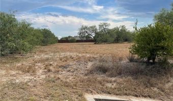 FM 3376 lot 12, Alice, TX 78332